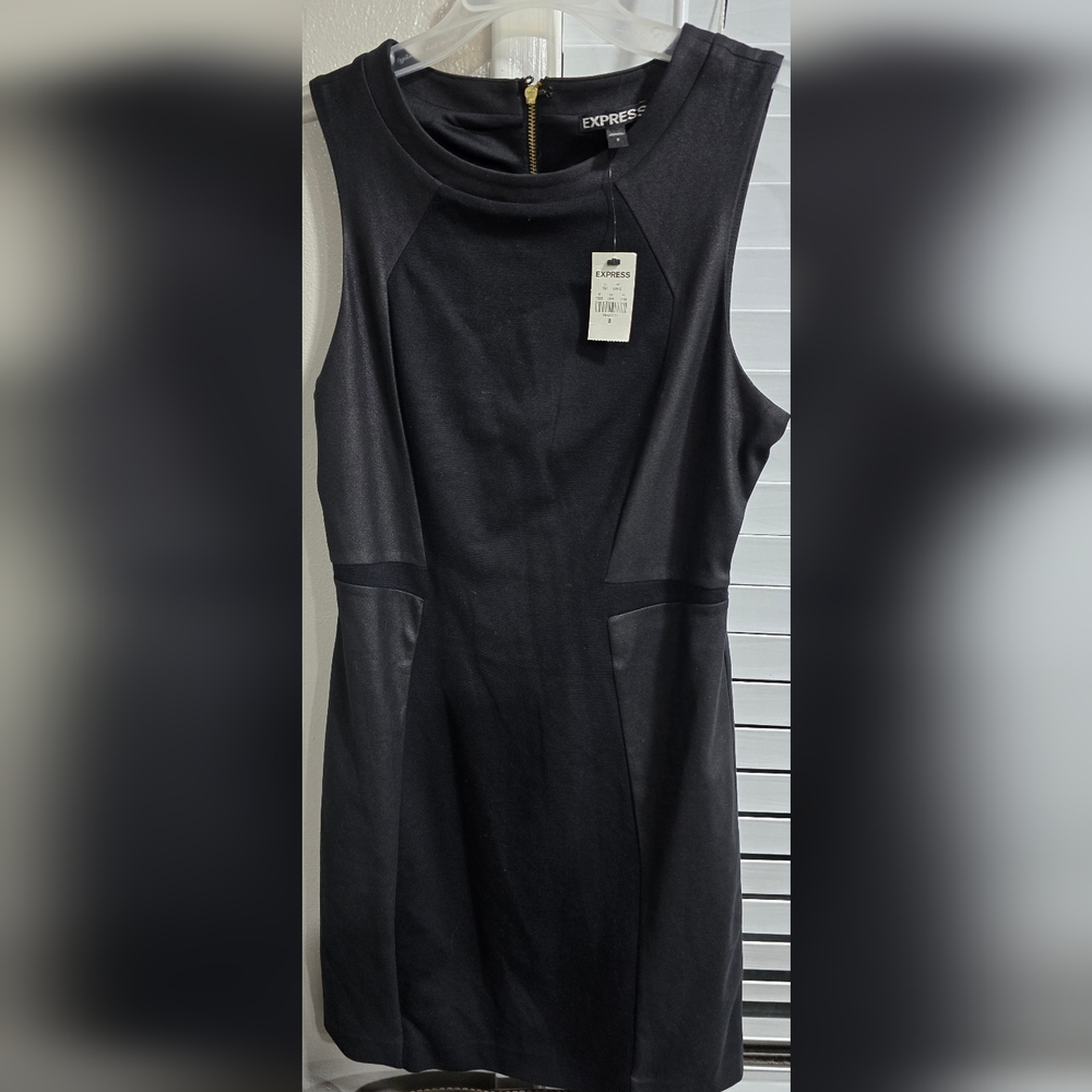 EXPRESS Bodycon dress